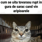 Avatar utilizator