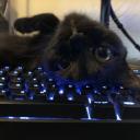 Avatar utilizator